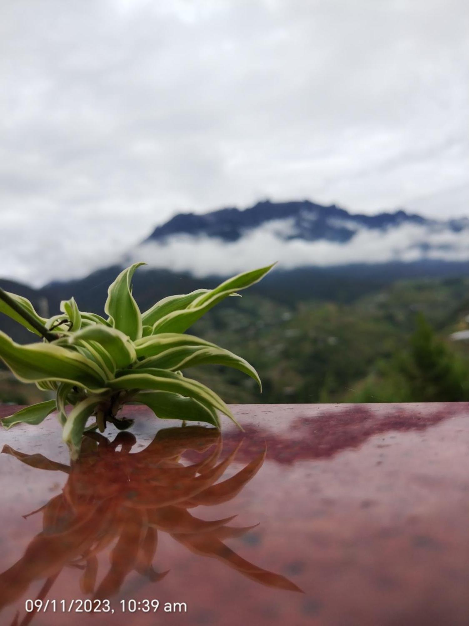 Highland Homestay Kundasang Ранау Екстериор снимка